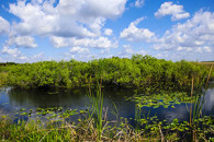 Everglades National Park